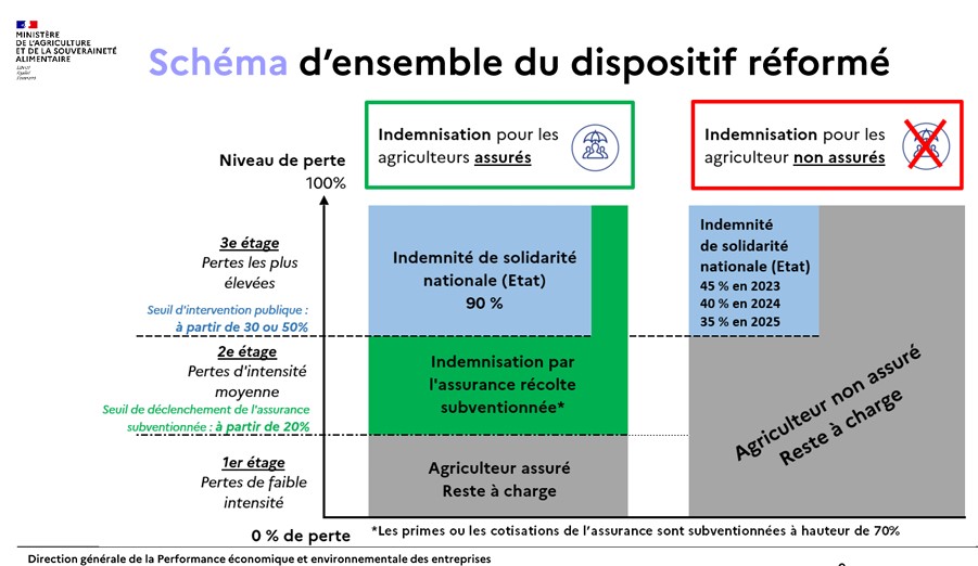 schema dispositif assurentiel